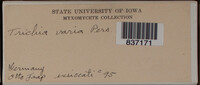Image Associated With the Occurence